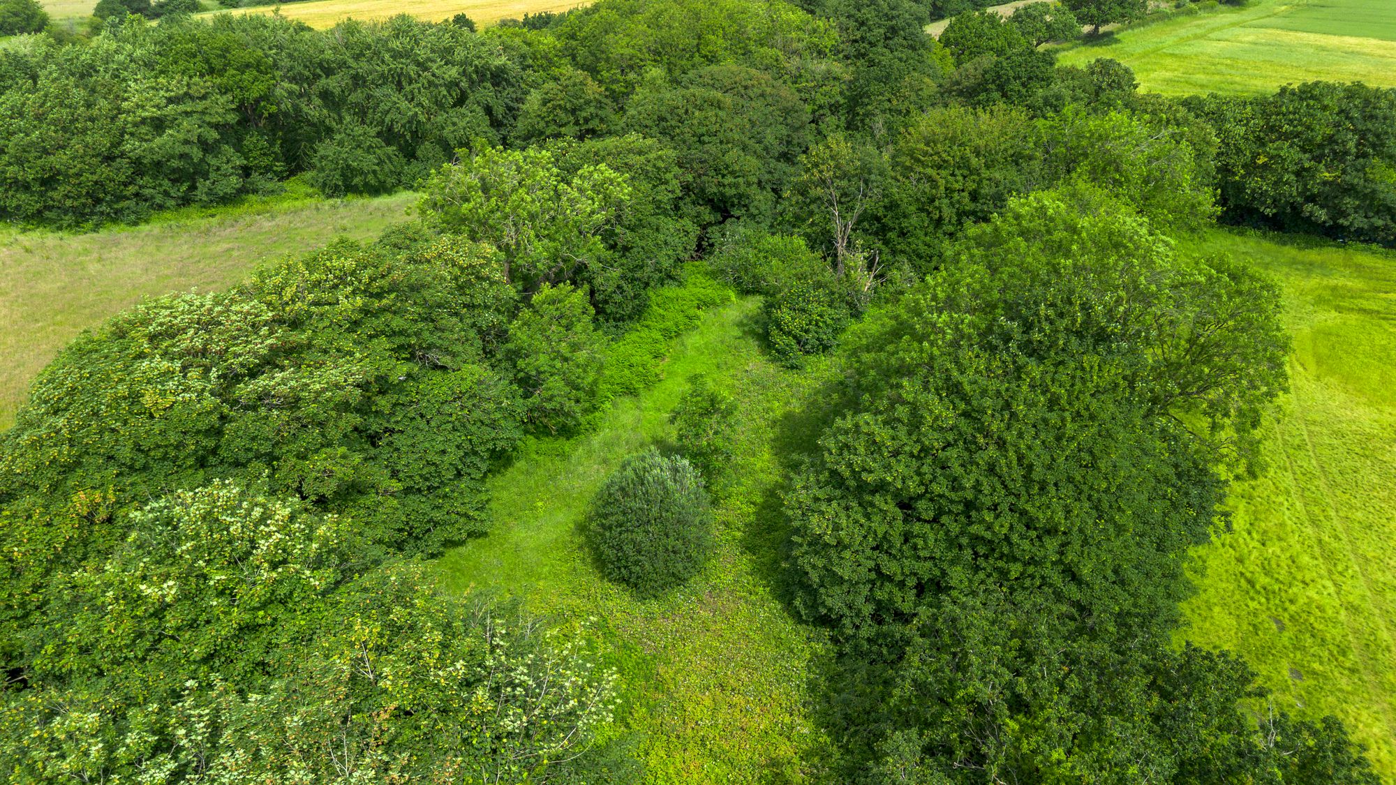 Lowton Gardens, Lowton, WA3