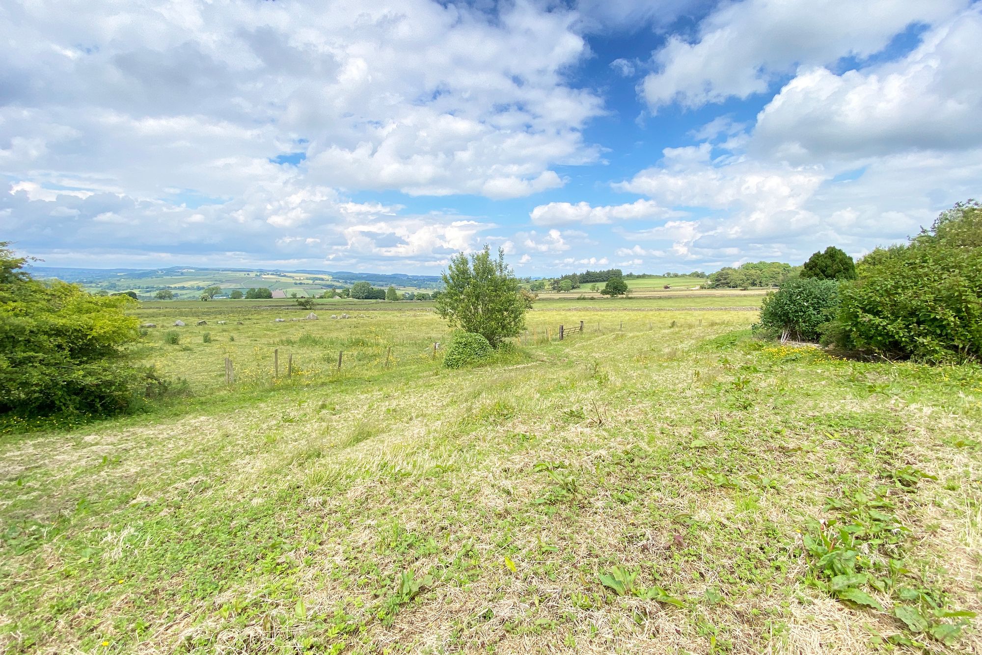 Back Road, High Birstwith, HG3