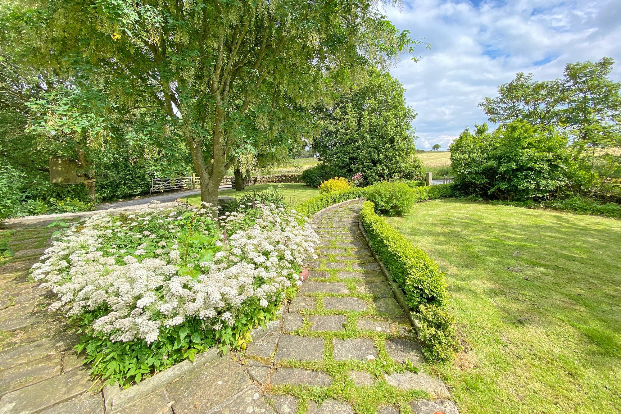 Back Road, High Birstwith, HG3