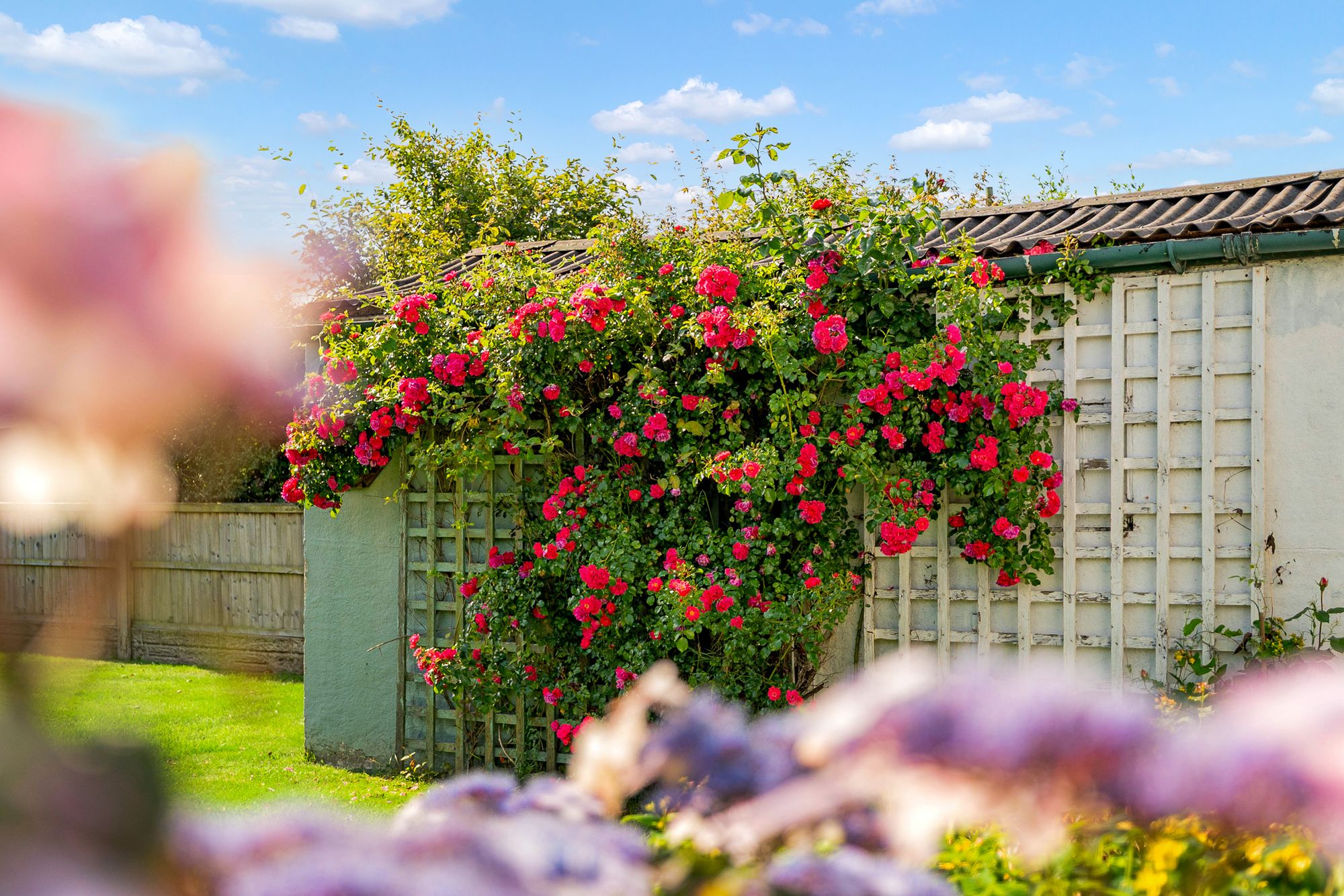 Hill View, Widnes, WA8
