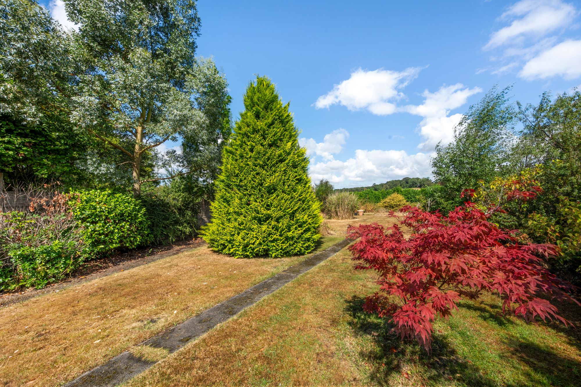 Moss Bank Road, St. Helens, WA11