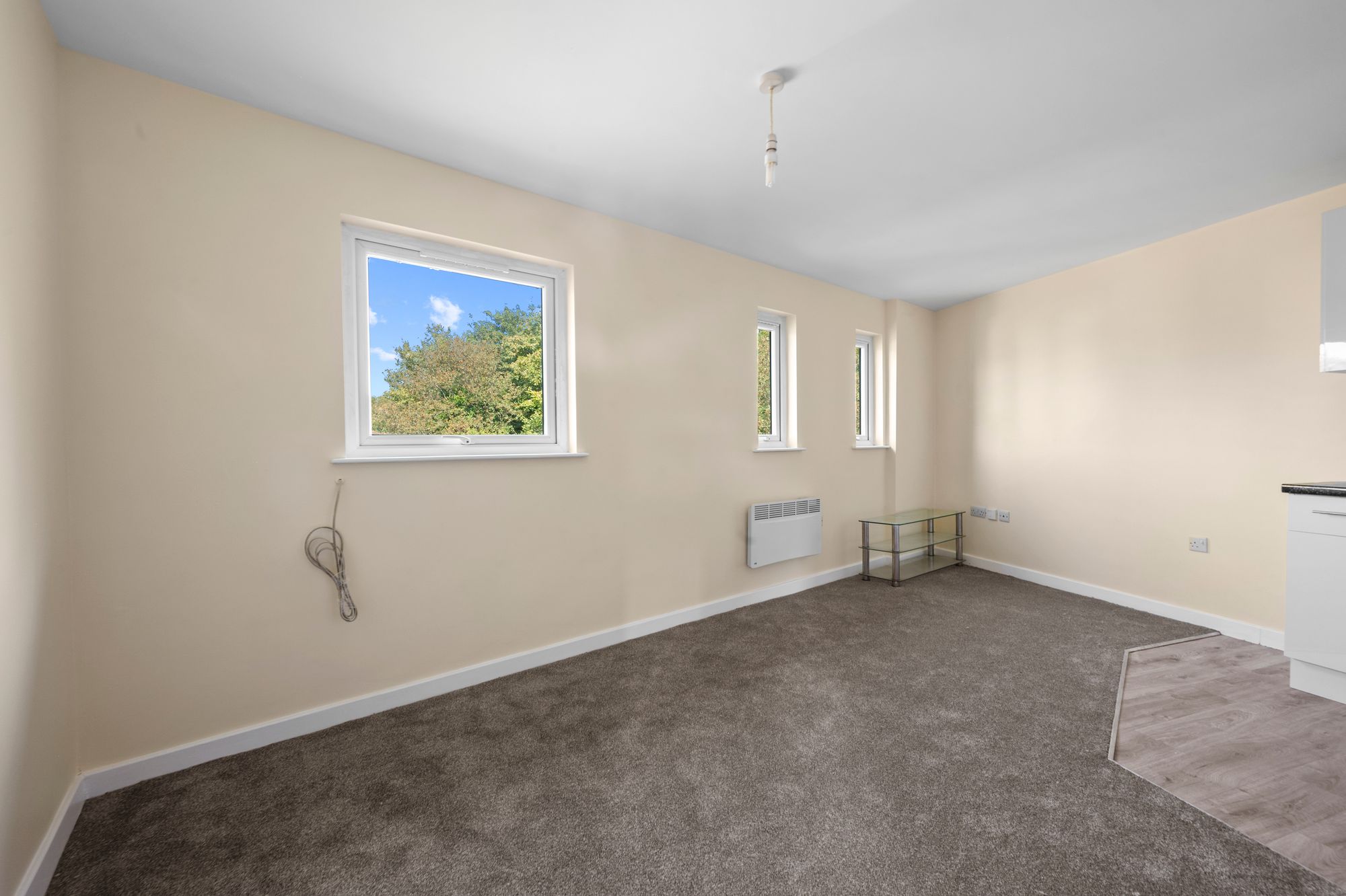 Hamnett Court, Birchwood, WA3