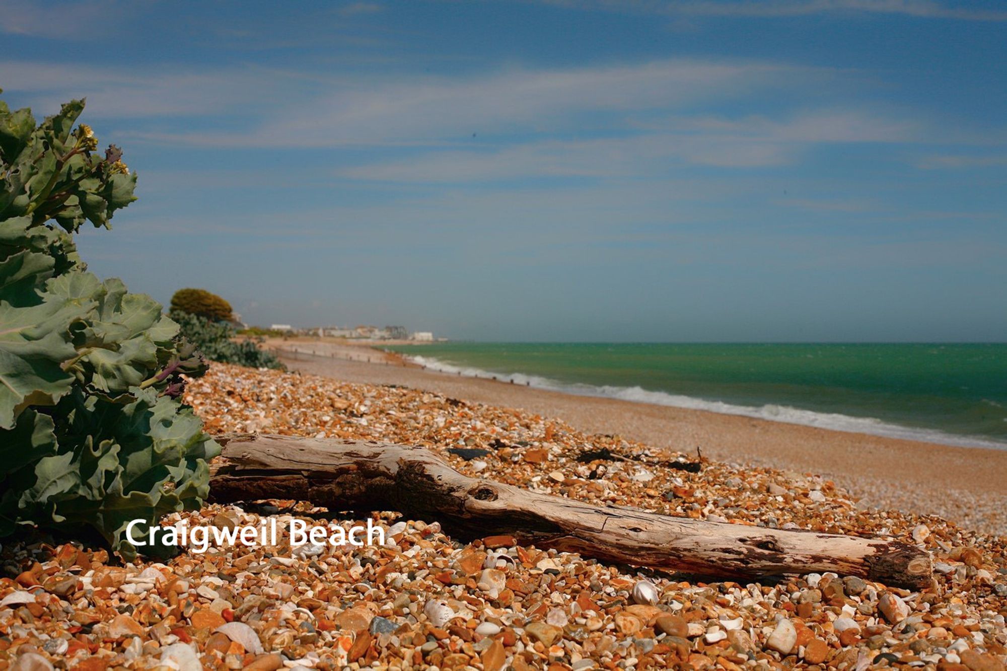 Kingsway, Bognor Regis, PO21