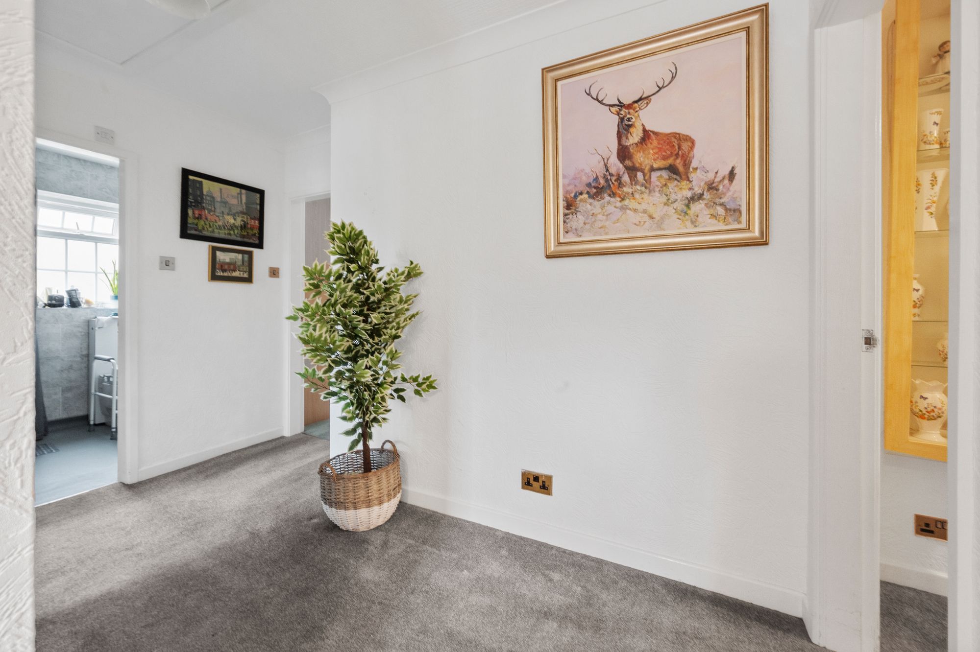 Laburnum Avenue, Woolston, WA1