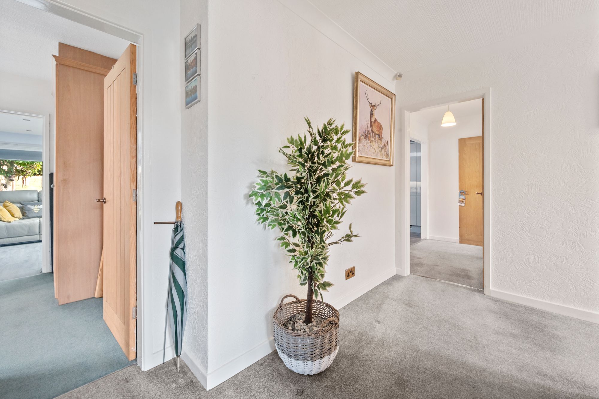Laburnum Avenue, Woolston, WA1