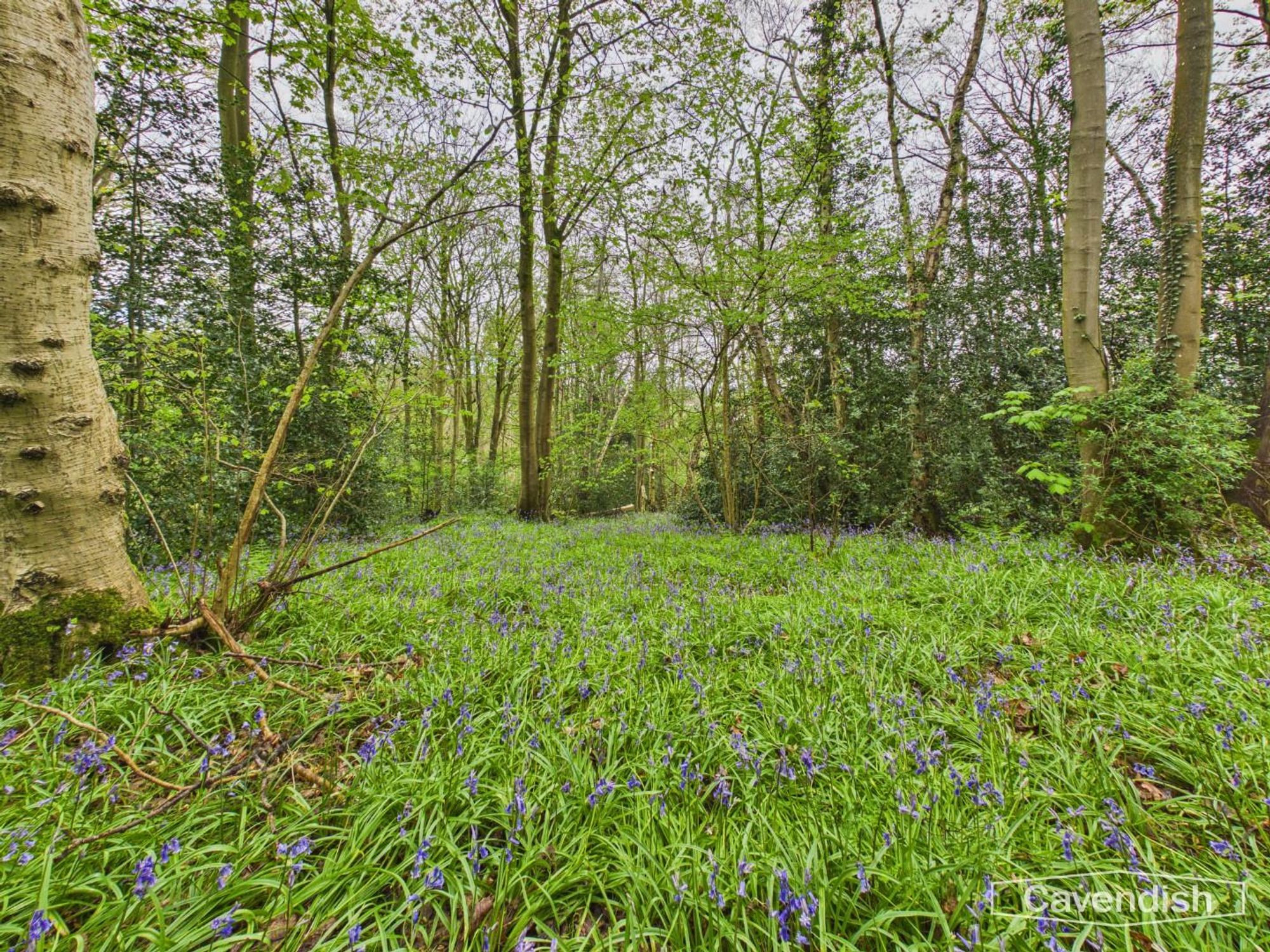 Property image — Rhyddyn Hill, Caergwrle, LL12