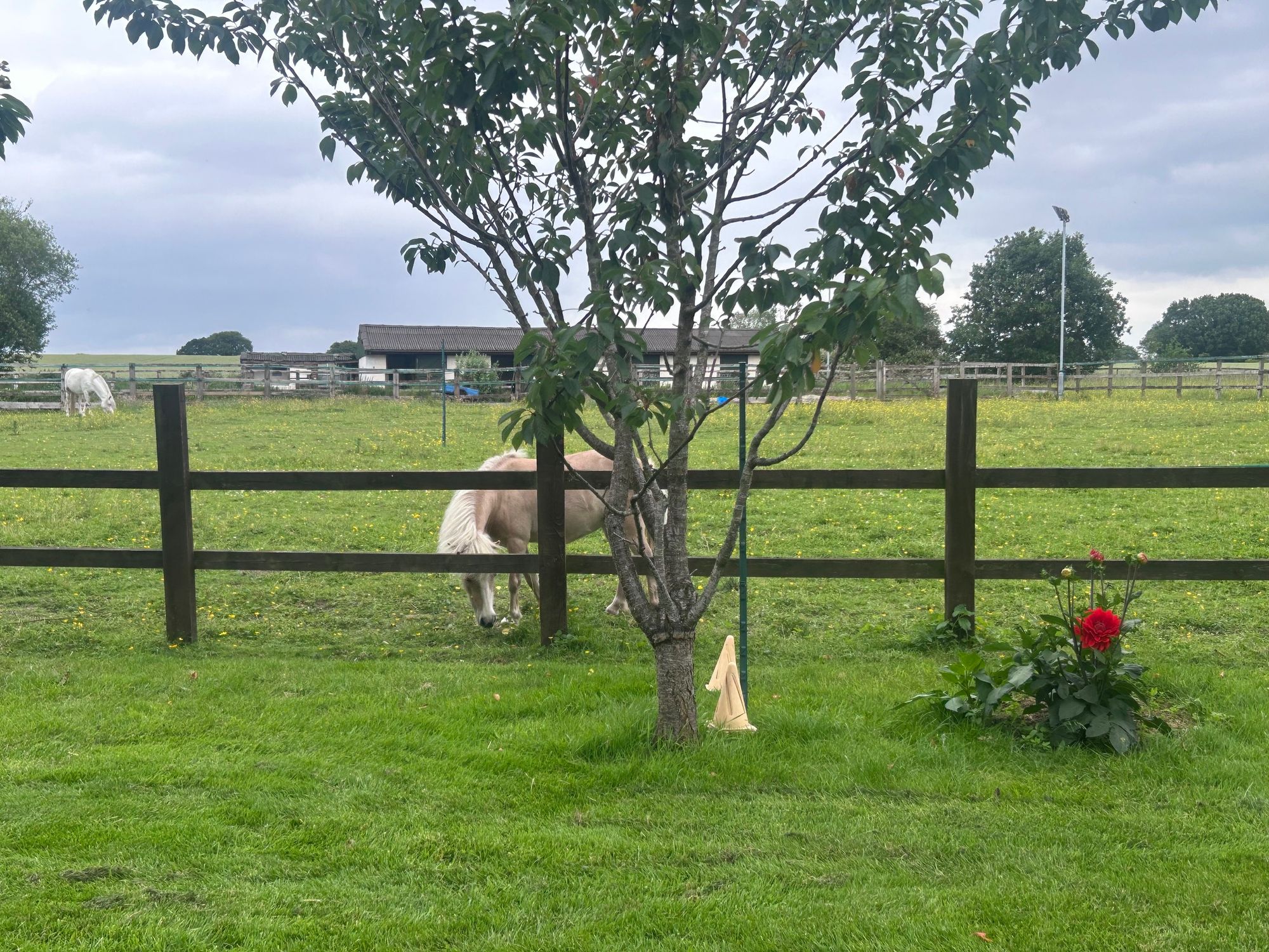 Smithy Brow, Croft, WA3