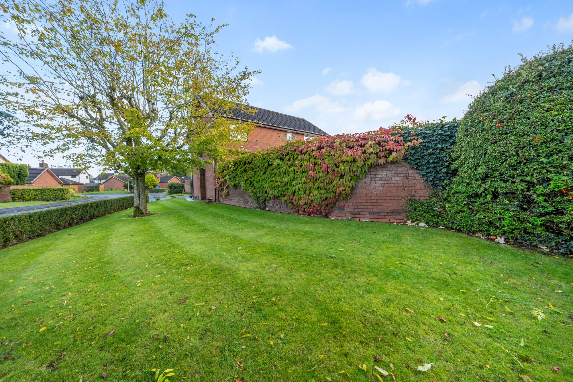 Carrington Close, Birchwood, WA3