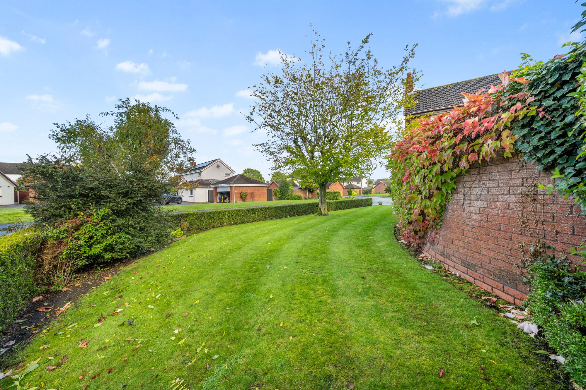 Carrington Close, Birchwood, WA3
