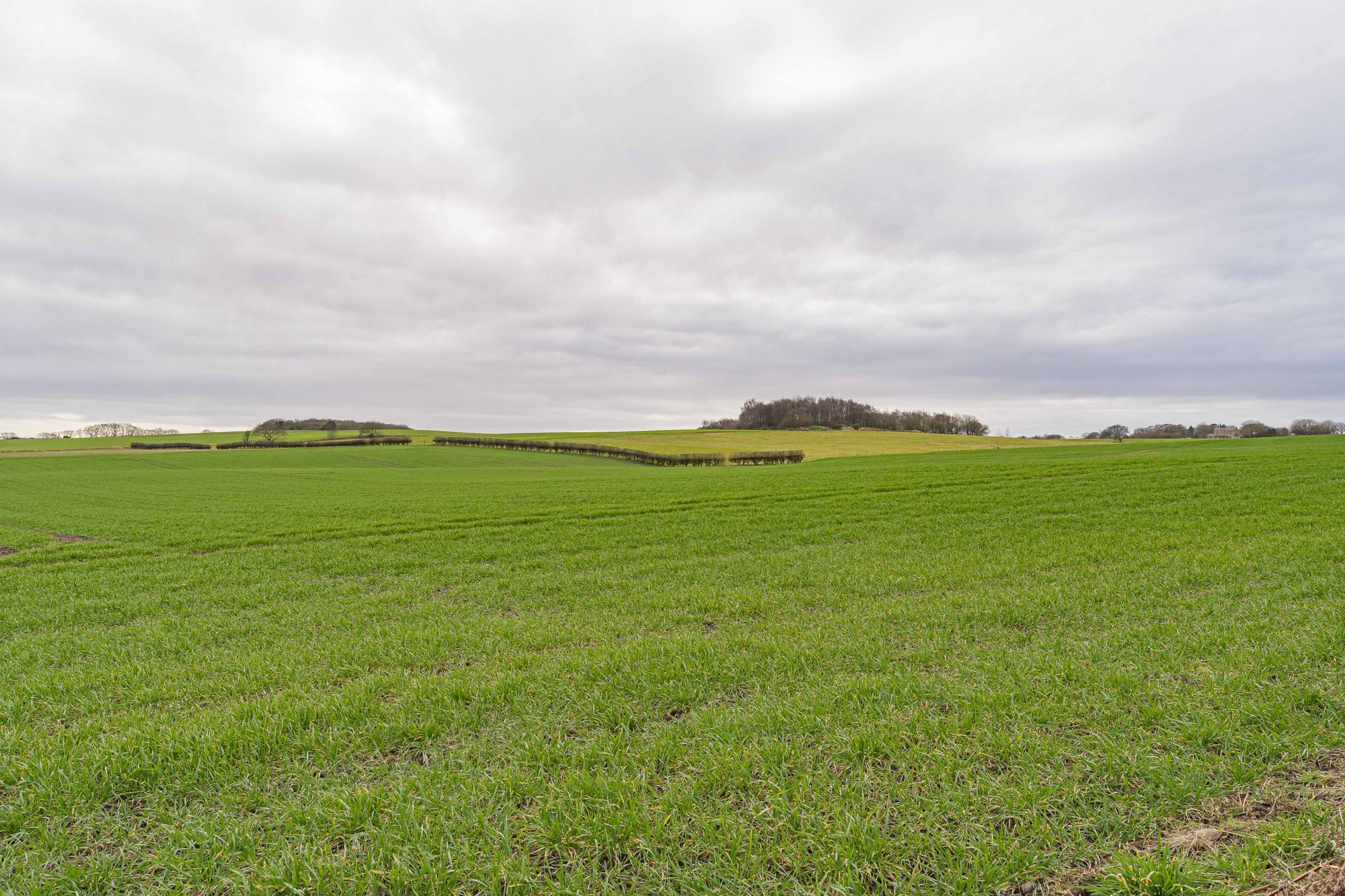 Billinge Road, Wigan