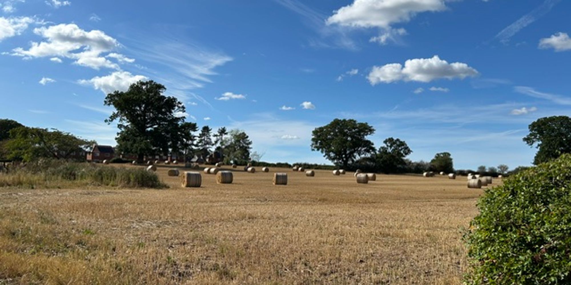 Church Walks, Christleton, CH3
