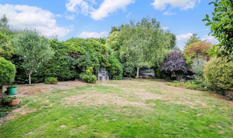 Rose Bushes, Epsom, KT17