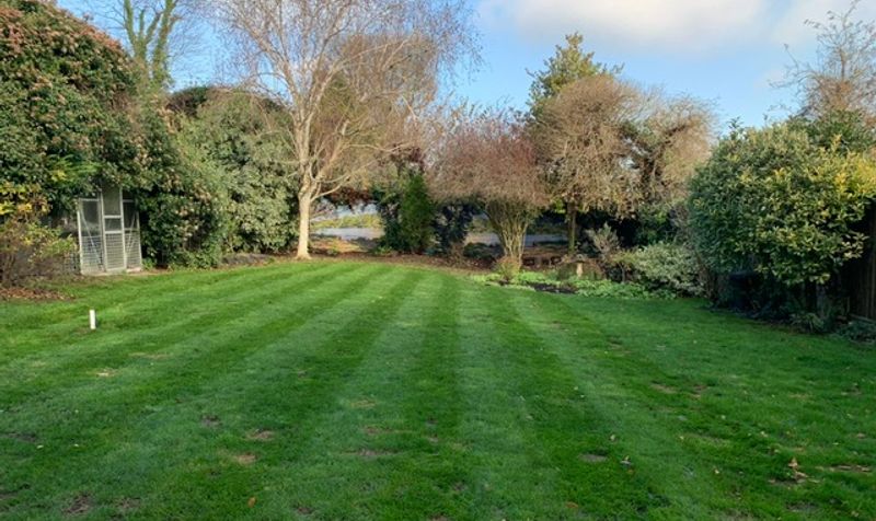 Rose Bushes, Epsom, KT17