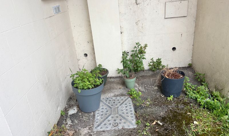 Apt 1 Avon Court, 18 La Chasse, St Helier JE2 4UE