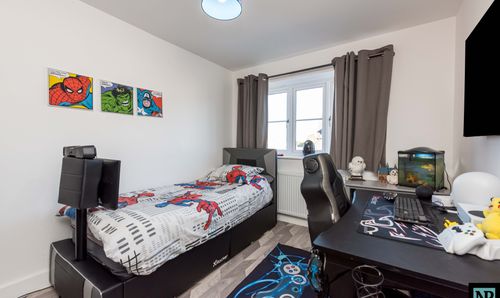 Room Photo
