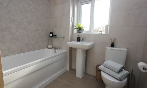Room Photo