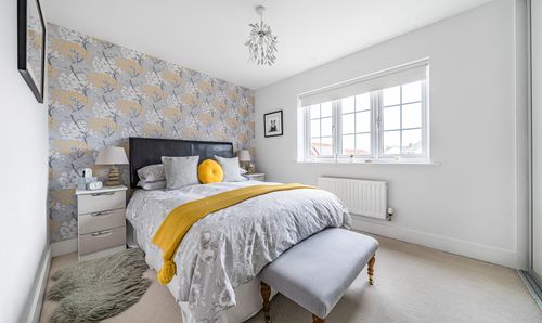 Room Photo