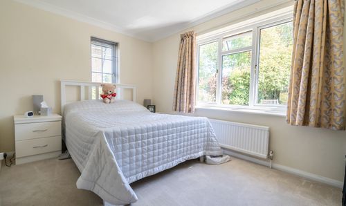 Room Photo