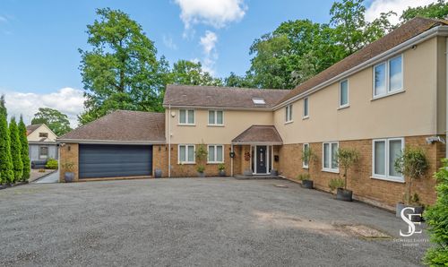 Golden Orb Wood, Binfield, RG42