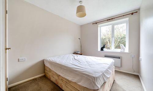 Room Photo