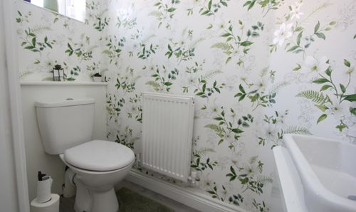 Room Photo