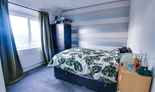 Room Photo