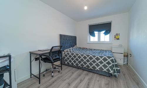 Room Photo