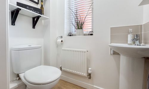 Room Photo