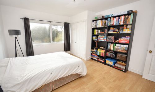 Room Photo