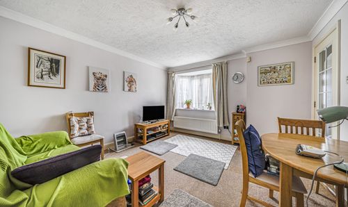 Room Photo