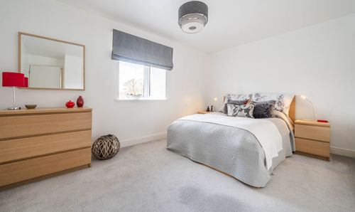 Room Photo