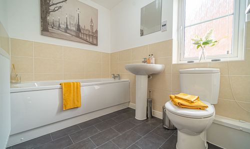 Room Photo