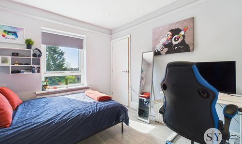 Room Photo