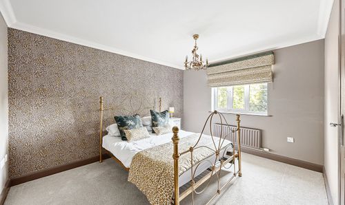 Room Photo