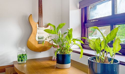 Room Photo