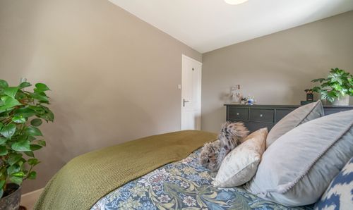 Room Photo