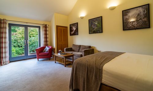 Room Photo