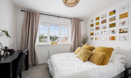 Room Photo