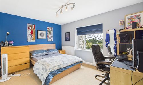 Room Photo