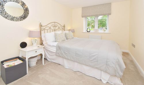 Room Photo
