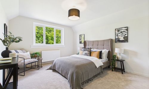 Room Photo