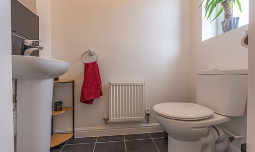 Room Photo
