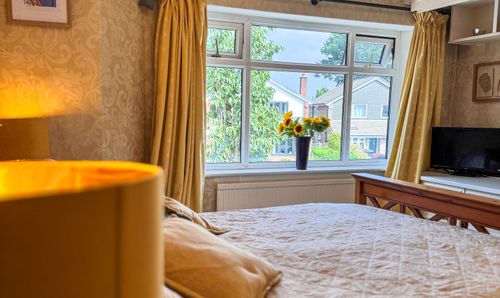 Room Photo
