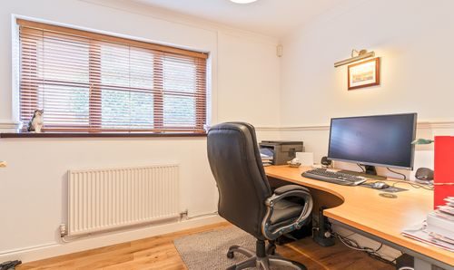 Room Photo