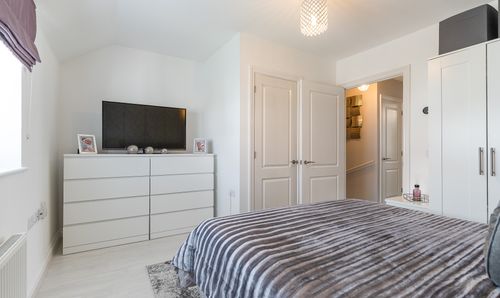Room Photo