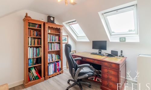 Room Photo