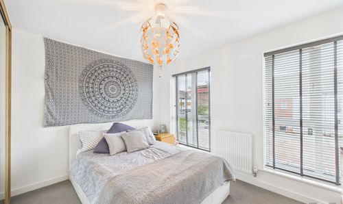 Room Photo