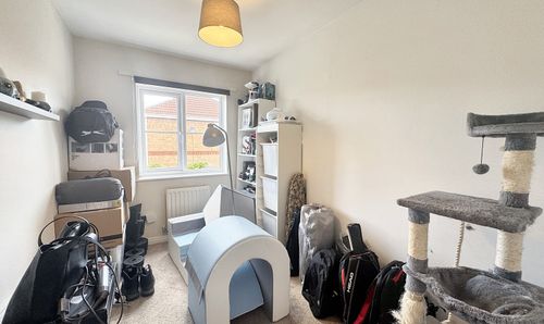 Room Photo