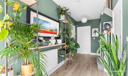 Room Photo