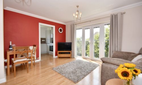 Room Photo